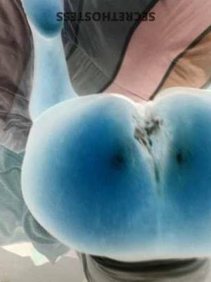 25Yrs Old Escort Size 18 165CM Tall Richmond VA Image - 1