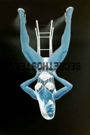 27Yrs Old Escort 58KG 157CM Tall Kansas City MO Image - 2