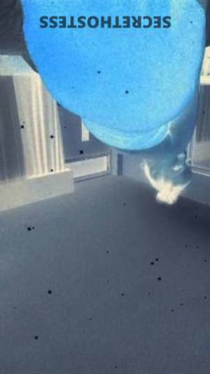 Ashlee 39Yrs Old Escort Houma LA Image - 2