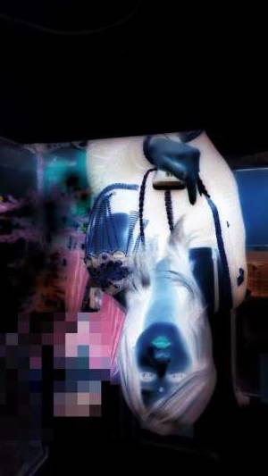 Deepanita 24Yrs Old Escort 178CM Tall New Delhi Image - 8