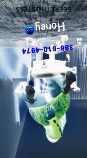 Honey 20Yrs Old Escort Daytona FL Image - 6