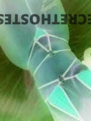 Pinky 24Yrs Old Escort Gainesville FL Image - 1
