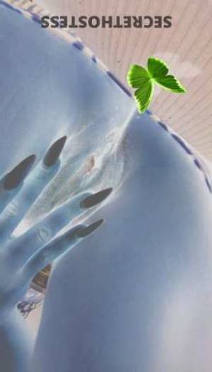 Privacy 30Yrs Old Escort Pensacola FL Image - 2
