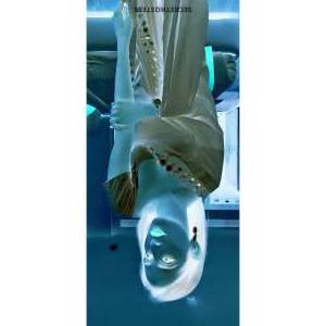 23 year old Escort in Kolkata Tina Mumbaikar, Transsexual escort