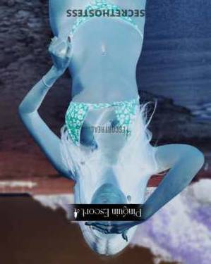 Pinguin Escotr (Pinguin Escort Agency *Worldwide Companions in Nuremberg