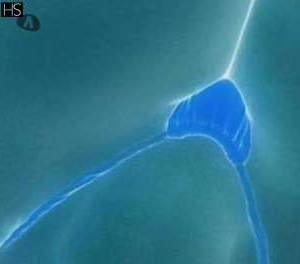 26 year old Escort in Mayo West Looking for Sensual Pleasure? I'm Your Flirty, Fun-