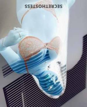 27Yrs Old Escort Charleston SC Image - 2