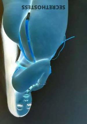 27Yrs Old Escort Charleston SC Image - 4