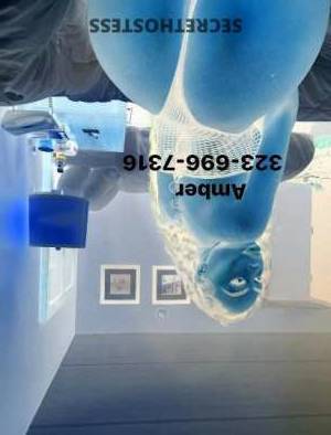 Amber 24Yrs Old Escort Saint Louis MO Image - 6
