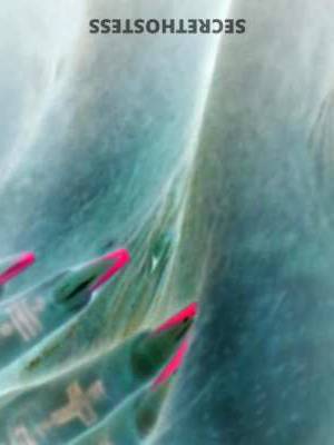 34 year old Escort in Biloxi MS Experience Electrifying Nights with Me - I'm Ready for 