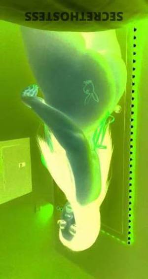 Chelsey 24Yrs Old Escort Tri-Cities WA Image - 3