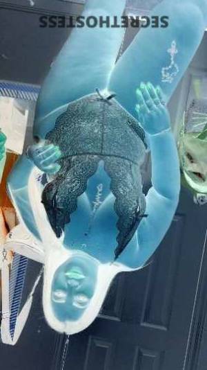 Devora 28Yrs Old Escort San Antonio TX Image - 3