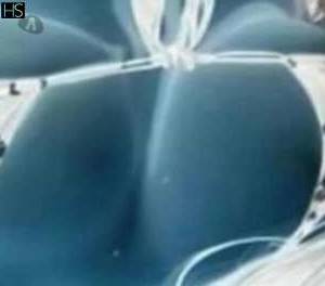 25 year old Latino Escort in Cork South West Unveiling the Beauty Unleash Your Wildest Desires with Diana