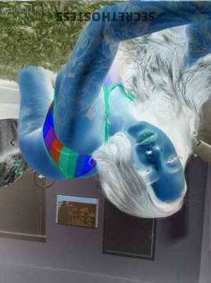 Dream 27Yrs Old Escort Manhattan NY Image - 1