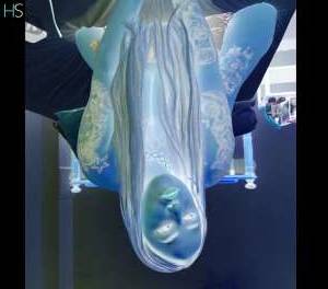 25 year old Italian Escort in Coventry Eva, The Exciting New Girl In Town The Ultimate Seductive 