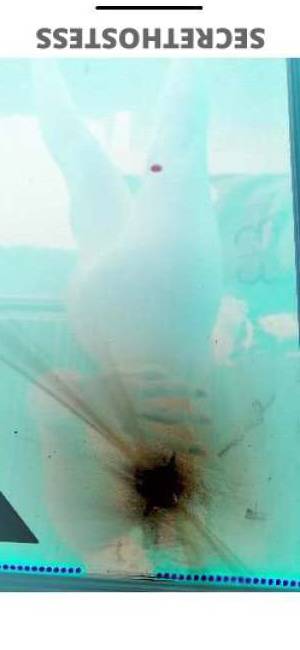 Maniibaeee 21Yrs Old Escort Dover NH Image - 7