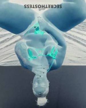 27 year old Escort in Columbia SC The Ultimate Companion Petite Ebony CarStops Spinner for 