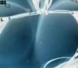 25 year old Latino Escort in Roscommon West Nora Delightful 25-Year-Old Playmate with Marvelous Figure 