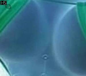 25 year old Latino Escort in Kilkenny South East Contact Cecile on WhatsApp for Sensual Body Massage and 