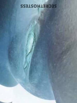 Sami 28Yrs Old Escort Spokane WA Image - 3