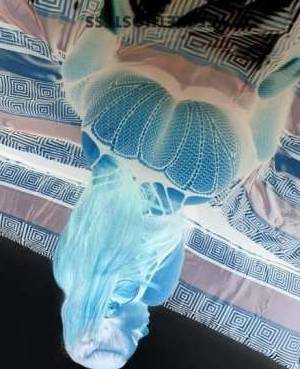 25 year old Escort in Olympia WA Experience Sensual Erotica with a Busty Babe for an 