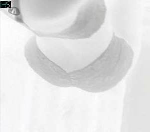 Let's Connect Your Ultimate Pleasure Awaits with  in Rio de Janeiro