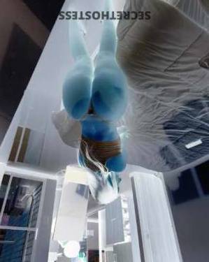 24 year old Escort in San Jose CA Let Me Be Your Limitless Indulgence A Delightful and 