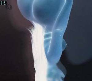 25 year old White Escort in Marilia Sao Paulo Experience Sensual Pleasures in the City with Elite 