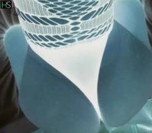 27 year old White Escort in Tijucas Santa Catarina Daniela Lorenzetti. Descrição Atendimento com local em 