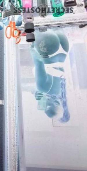36Yrs Old Escort Tampa FL Image - 4