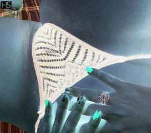 Bruna 23Yrs Old Escort Minas Gerais Image - 1