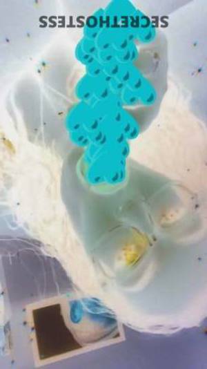 28 year old Escort in San Jose CA "Are you ready to indulge in the naughtiest fantasy of 