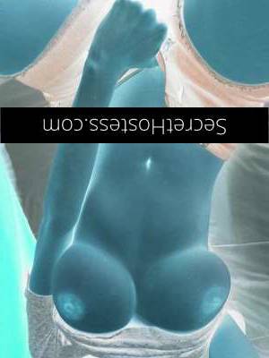 22 year old Asian Escort in Windsor Brisbane Attention, Gentlemen! Fulfill Your Erotic Adventures & 