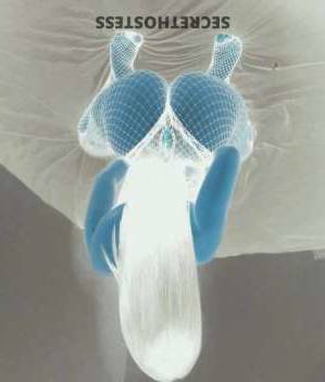 23 year old Caucasian Escort in Westchester NY Discover Exquisite Pleasure with Jessy Clean and Ready컬 