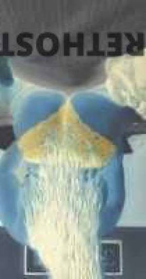 26Yrs Old Escort 165CM Tall Harrisburg PA Image - 3