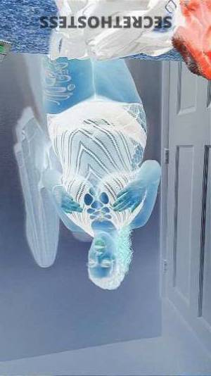 30Yrs Old Escort Size 28 172CM Tall Greensboro NC Image - 1