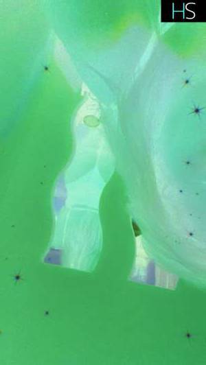 35Yrs Old Escort 170CM Tall Nanaimo Image - 4