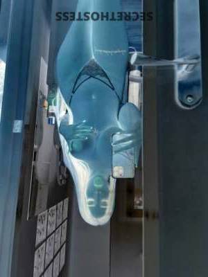 35 year old Hispanic Escort in Reading PA Ultimate Hookup Experience with Hot Escort Danya - Available