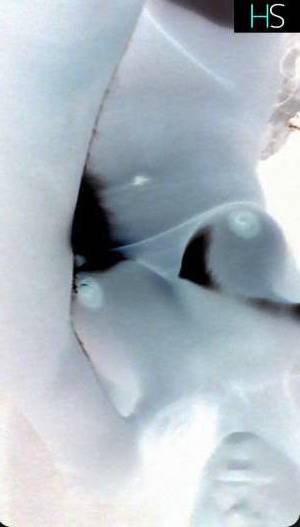 45Yrs Old Escort 170CM Tall Owen Sound Image - 1