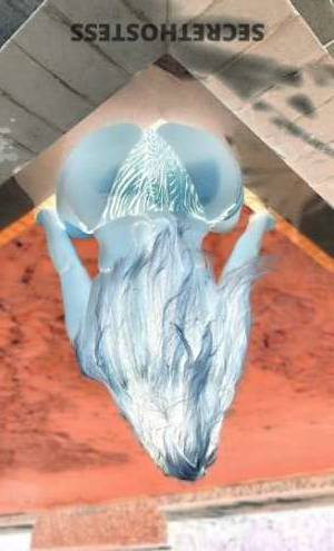 27 year old Escort in Pensacola FL Discover the Tantra Expert Unraveling New Levels of Pleasure
