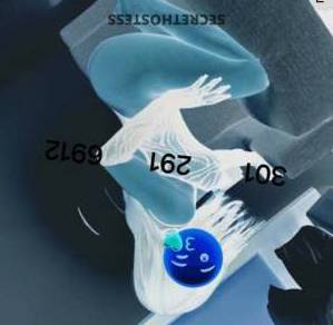 Daniela 28Yrs Old Escort Frederick MD Image - 1