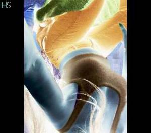 32 year old Escort in Dublin Experience True Indulgence and Relaxation with Erika's 