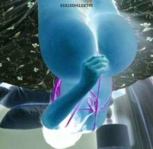 Jasmine 25Yrs Old Escort Brooklyn NY Image - 1