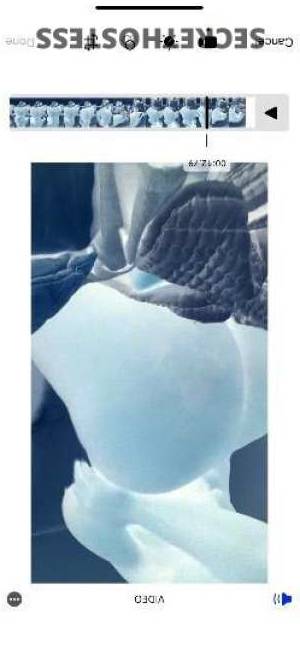 Kacey 23Yrs Old Escort Detroit MI Image - 3