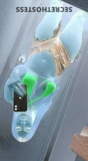 Mercedes 21Yrs Old Escort San Antonio TX Image - 3