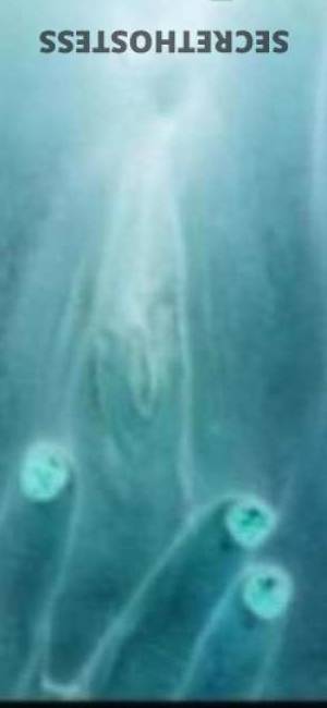 29 year old Escort in Staten Island NY Cum Reaaalyyyy Deposit-Free Sessions, Naughty Gifts, and a 