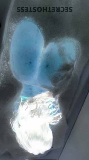 24 year old Latino Escort in Denton TX Attention All Men The Sizzling Hot Latina of Your Dreams 