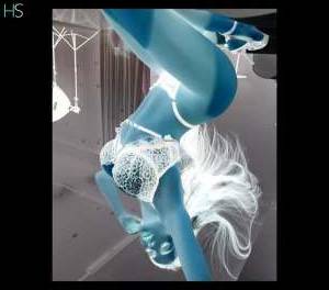 Selena 25Yrs Old Escort Chester Image - 2