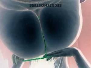 Sofia 27Yrs Old Escort Reno NV Image - 3