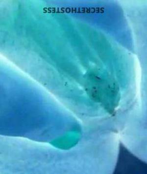 25 year old Escort in Buffalo NY Experience Unforgettable Pleasure with Naughty Westside 